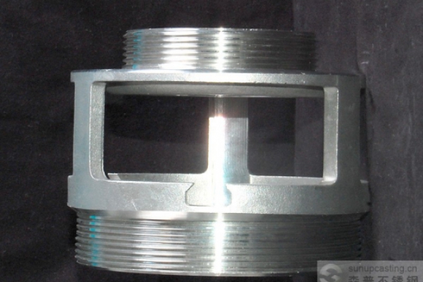 Stainless steel pump valve