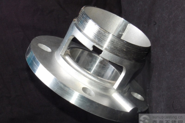 Stainless steel pump valve